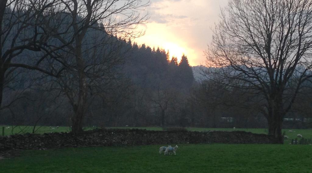 Tyddyn Bach Barn Vila Betws-y-Coed Quarto foto